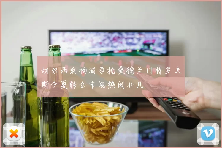 切尔西利物浦争抢桑德兰门将罗夫斯今夏转会市场热闹非凡